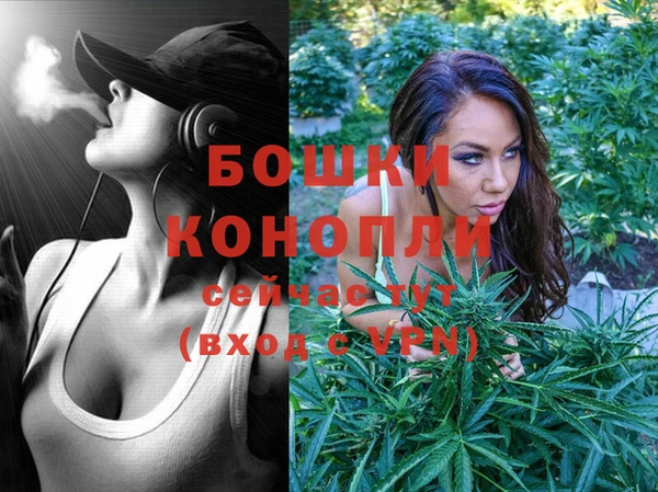 соль ск Бронницы