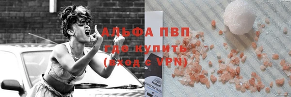 прущие грибы Бородино