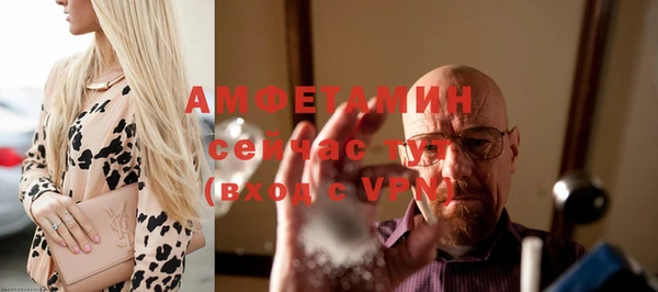 прущие грибы Бородино