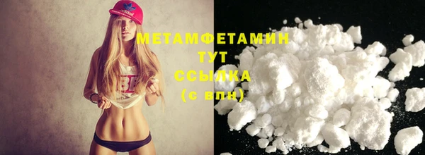 прущие грибы Бородино