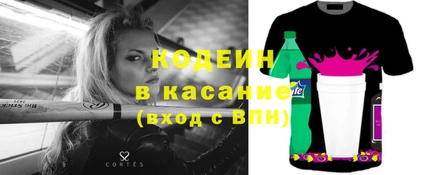 прущие грибы Бородино