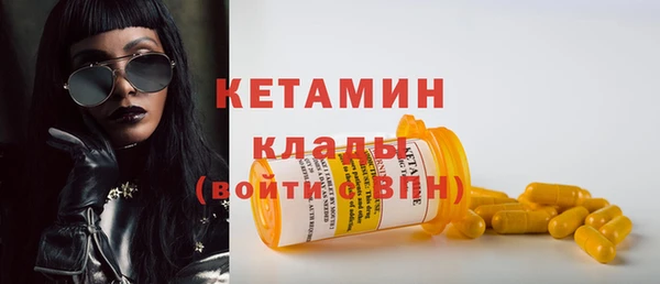 прущие грибы Бородино