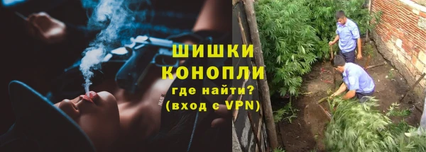 соль ск Бронницы