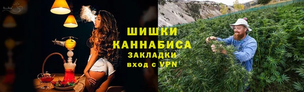 прущие грибы Бородино