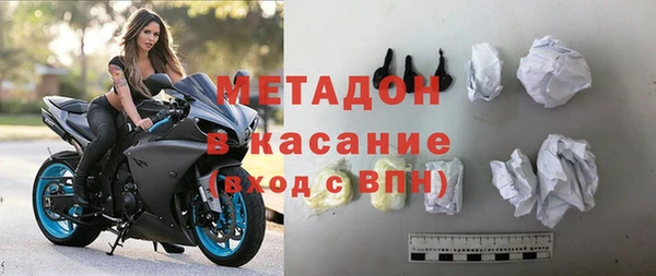 прущие грибы Бородино